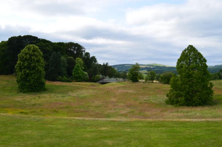 Schwimmteich